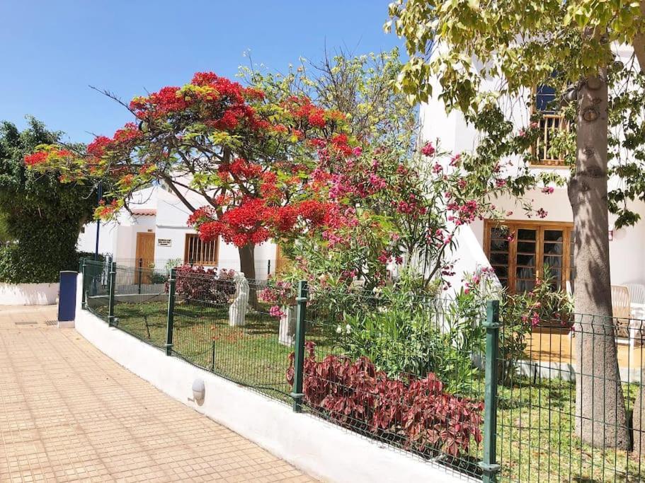 Apartamento Lucia Garden City Con Piscina Climatizada Playa Feñabe Kültér fotó