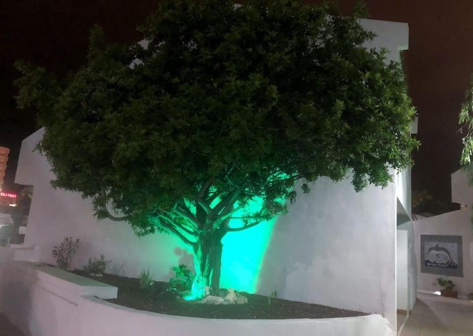 Apartamento Lucia Garden City Con Piscina Climatizada Playa Feñabe Kültér fotó