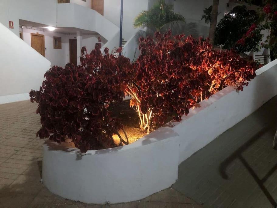 Apartamento Lucia Garden City Con Piscina Climatizada Playa Feñabe Kültér fotó