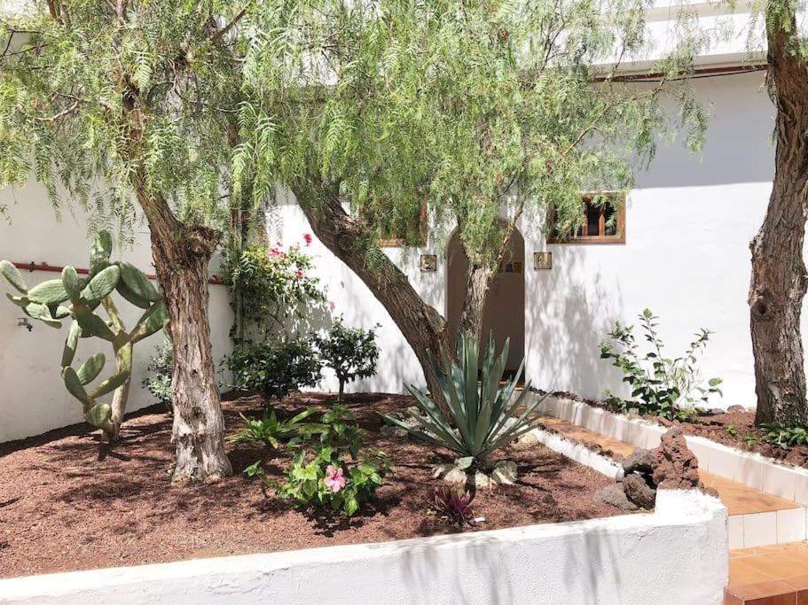 Apartamento Lucia Garden City Con Piscina Climatizada Playa Feñabe Kültér fotó