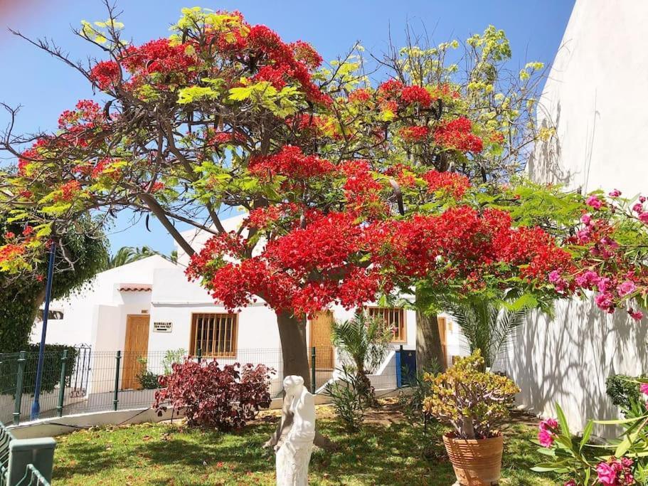 Apartamento Lucia Garden City Con Piscina Climatizada Playa Feñabe Kültér fotó