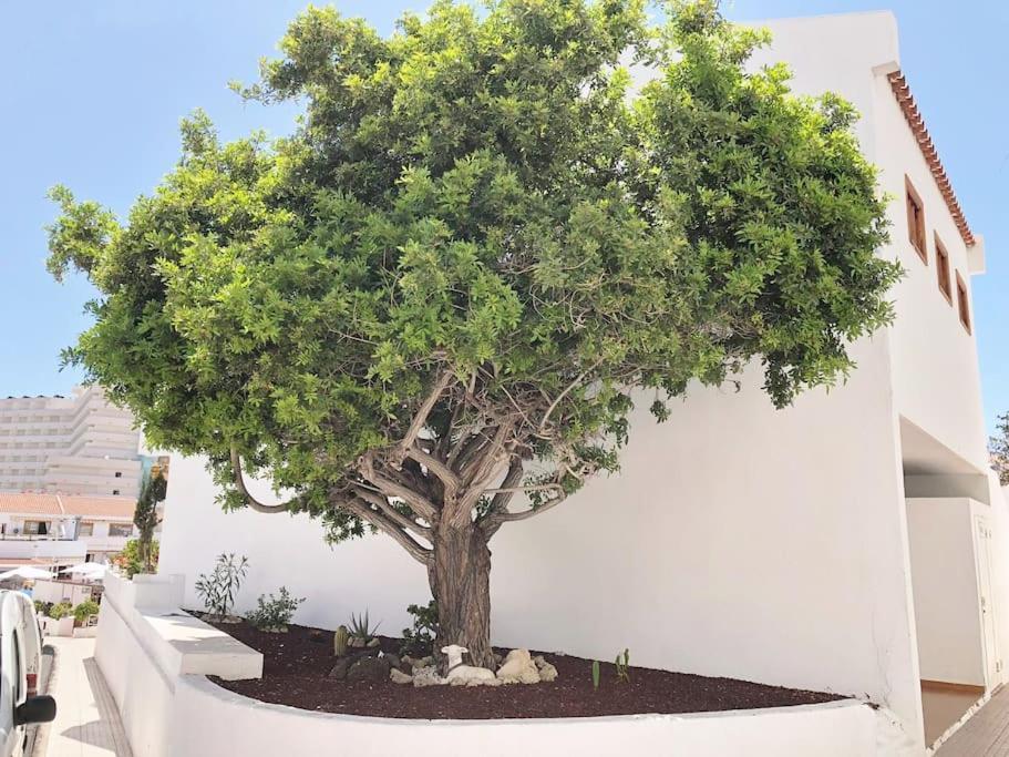 Apartamento Lucia Garden City Con Piscina Climatizada Playa Feñabe Kültér fotó